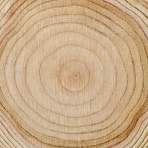 Réalisation sportive en bois